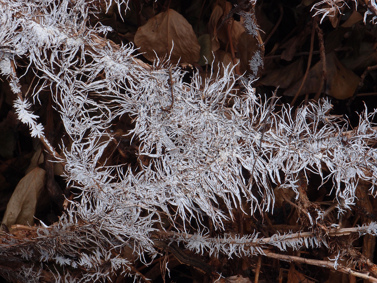 2019-07-21 foto-grafisches Statement I